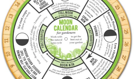 לוח שנה ירחי של הגנן והגנן לטיפול ביולי 2020