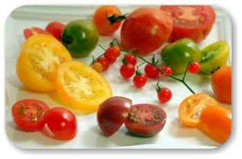 トマトの種類の特徴一般