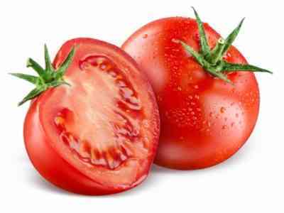 日本産トマト品種の特徴