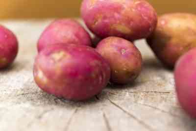 一般的な赤いジャガイモの品種