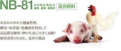 豚酵母の投与量