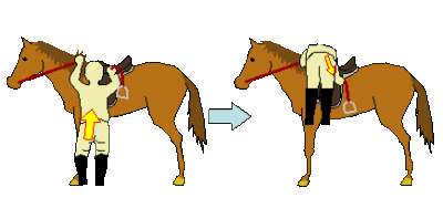 馬の乗り方