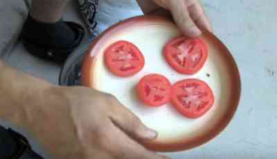 トマトの種を浸したものは何ですか