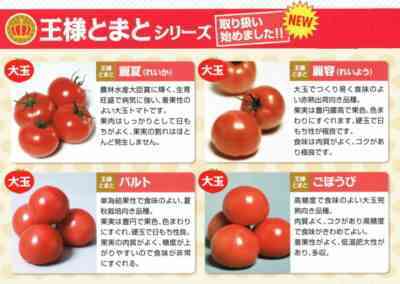 トマト品種だんこの特徴