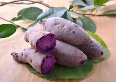 紫芋の品種の説明