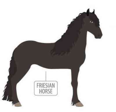 ロシア乗馬の品種の馬の説明