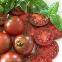 トマト品種クリームモスクワの特徴