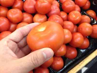 トマトの直感の特徴