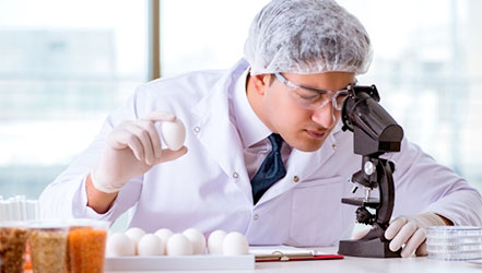 実験室での顕微鏡による卵の検査
