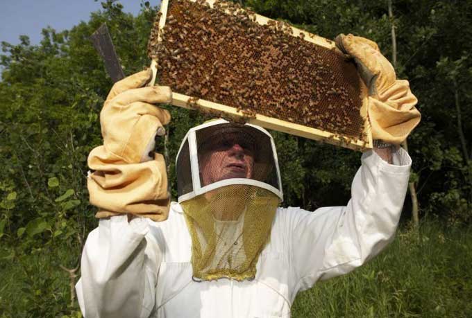養蜂家