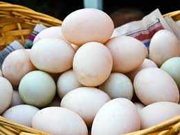 アヒルの卵、カロリー、利点と害、有用な特性