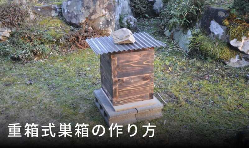 人気のある種類のミツバチの巣箱