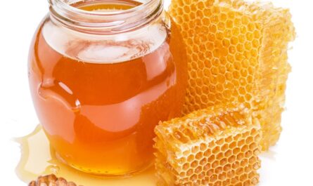 セルライトを蜂蜜で処理する方法