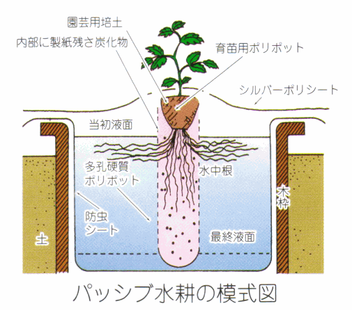 パッシブ水耕栽培システム