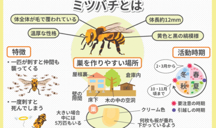 ミツバチのバロアトーシスの治療について知っておくべきこと