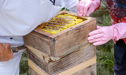 固定式養蜂場の利点