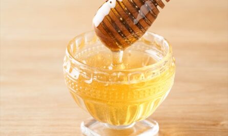 天然蜂蜜による静脈瘤の治療