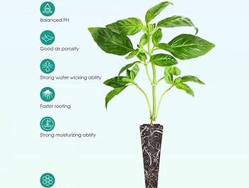 植物を育てる基質としてのピートモス-水耕栽培