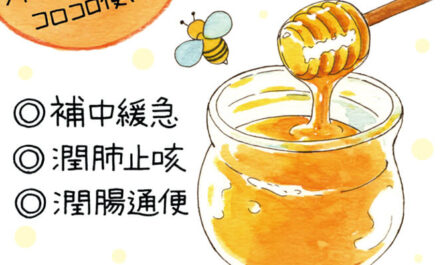 消化管の病気と蜂蜜による治療