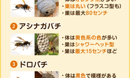 蜂の巣を作るためにどの機械を選ぶべきか