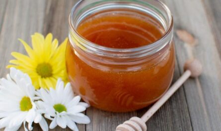 蜂蜜と胆汁を正しく使用する方法