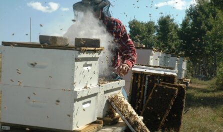 連邦法「養蜂について」