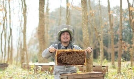 養蜂場での秋の仕事に役立つヒント