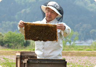 養蜂場をゼロから整理する機能-初心者のためのヒント