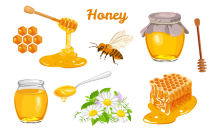 鼻水を蜂蜜で治療する方法