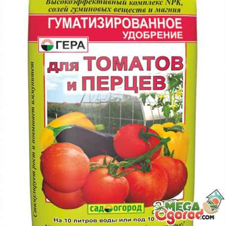 민간 요법으로 토마토를 비옥하게하는 종류