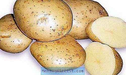 Karatop 감자의 특성