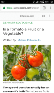 토마토 매기 규칙