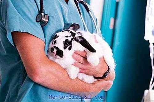 토끼에 Gamavit 백신을 사용하는 방법