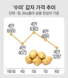 2019 년 감자 가격 설명