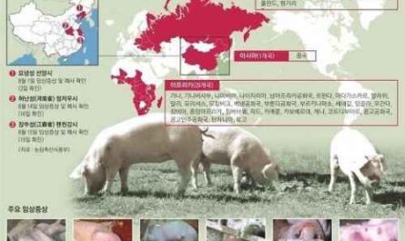 돼지의 가장 흔한 질병