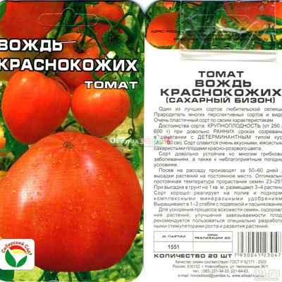 토마토 품종의 특성 시베리아 트럼프 카드