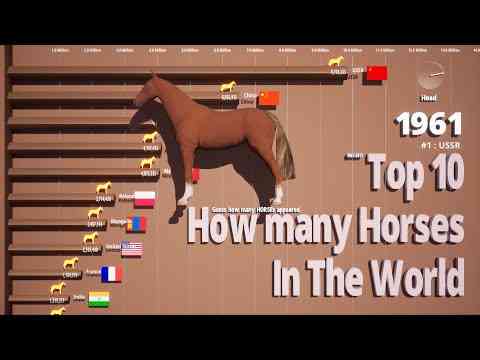 말의 무게는 얼마입니까?