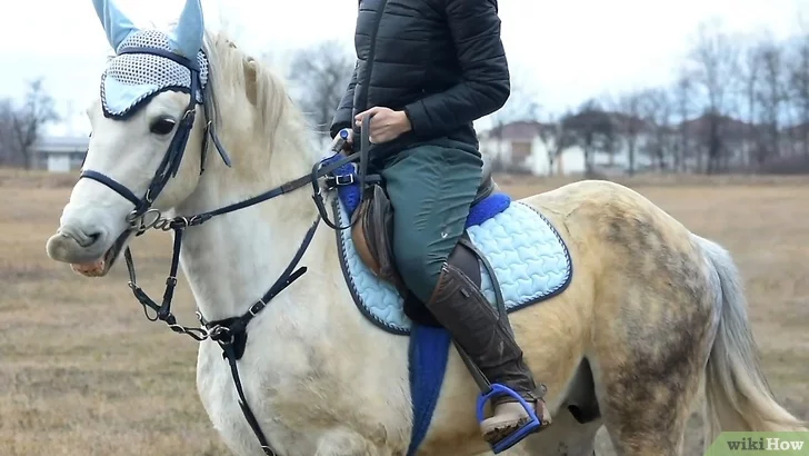 말을 타는 방법