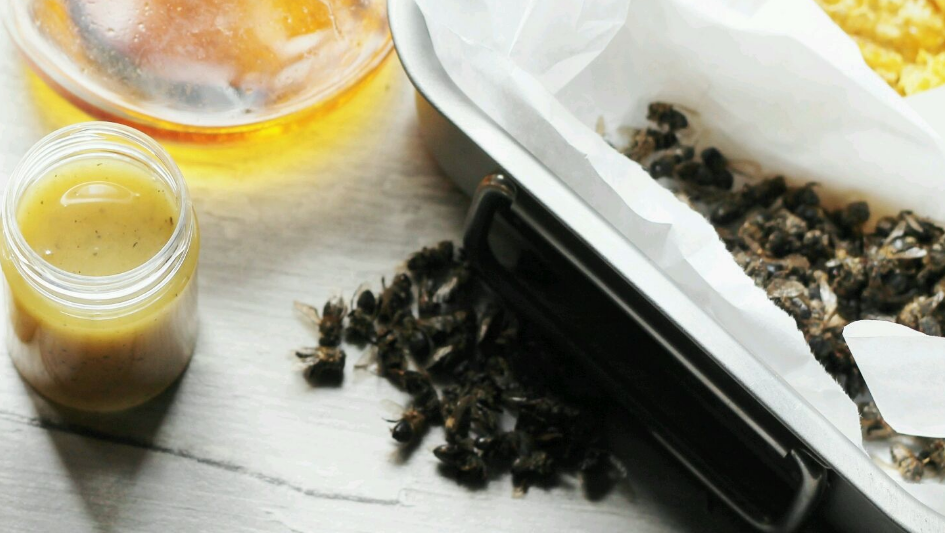 꿀벌 연고 : 조리법 및 범위