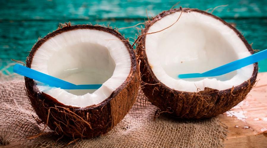 코코아 열매-코코아 열매의 유용하고 위험한 특성, 칼로리, 이점 및 해로움, 유용한 특성