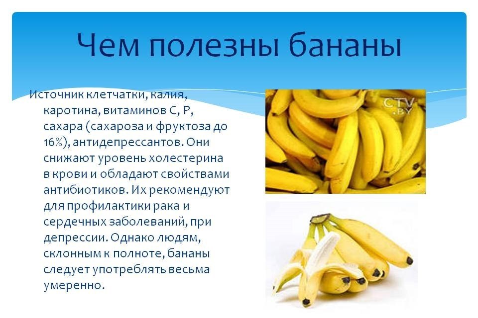 바나나 유용한 특성 및 해로움
