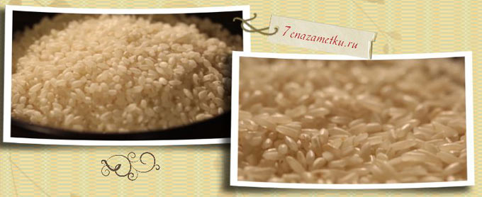 발아 쌀-발아 쌀의 유용하고 위험한 특성, 칼로리, 이점 및 해로움, 유용한 특성