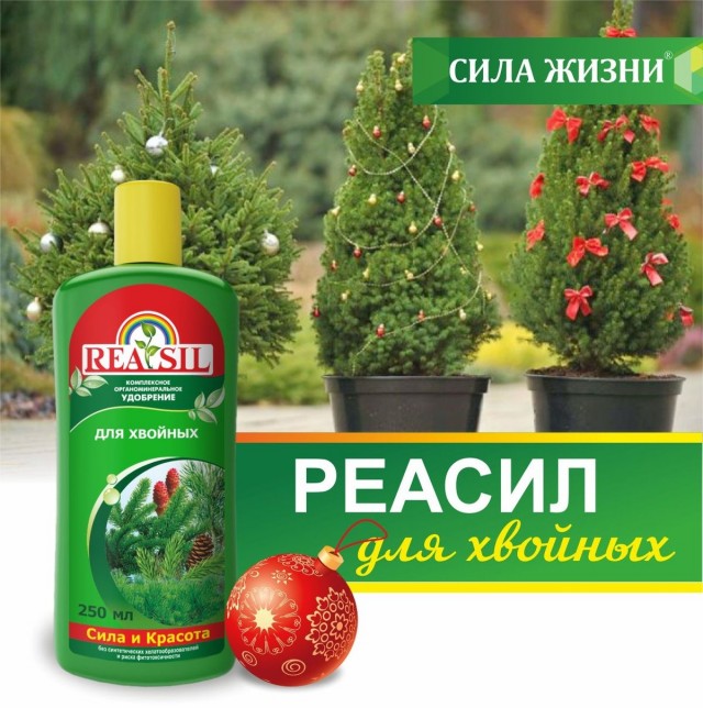 침엽수 용 복합 유기 비료 "Reasil"