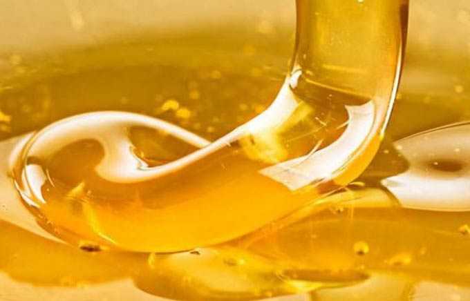 Penggunaan madu untuk pankreatitis. -