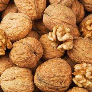 Minyak walnut, Kalori, faedah dan bahaya, Sifat berguna -