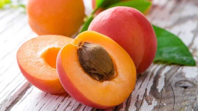 Aprikot kering (aprikot), Kalori, faedah dan bahaya, Sifat berguna -