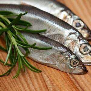 Ikan hering Baltik, Kalori, faedah dan bahaya, Sifat berguna –