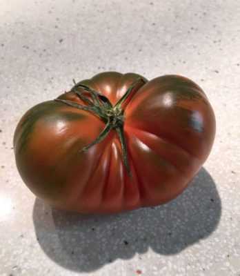 Ciri-ciri varieti tomato Siberian Surprise -
