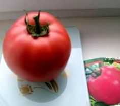 Ciri-ciri tomato raspberi yang ajaib -