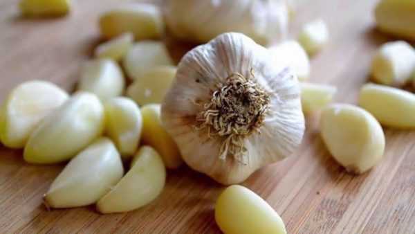 Cara merawat bawang putih –